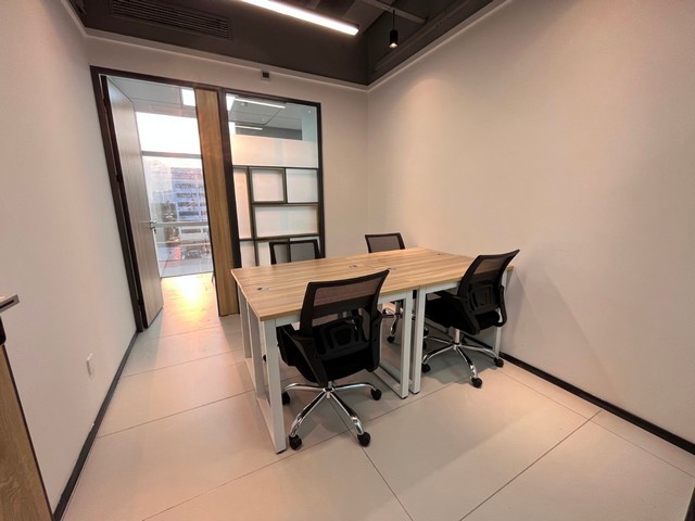 进口investigator双光子显微镜商家电话